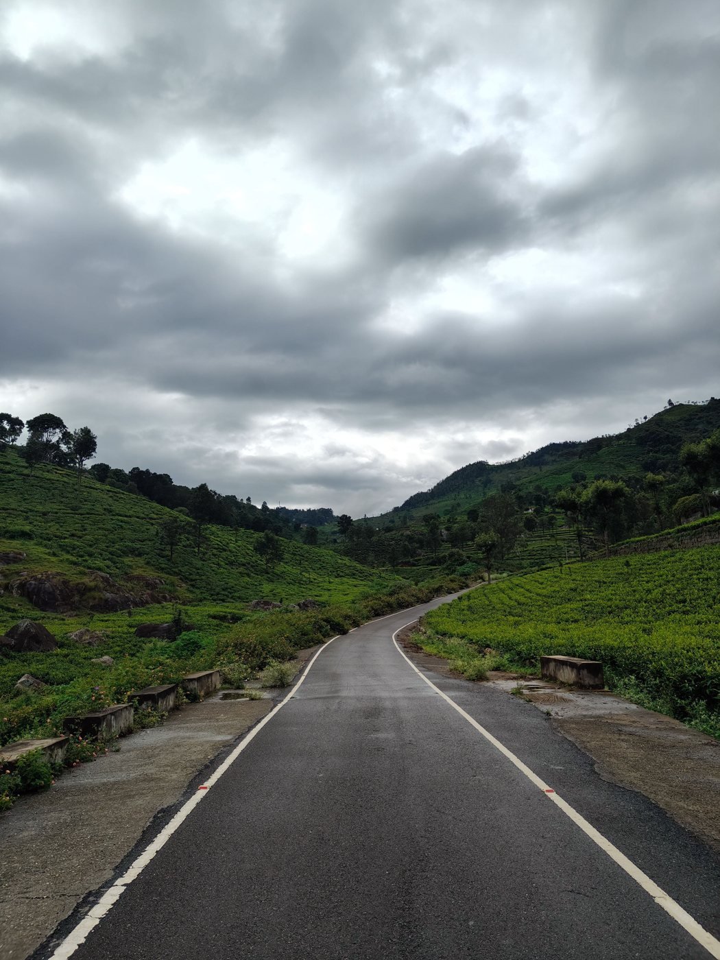 Ooty Escape