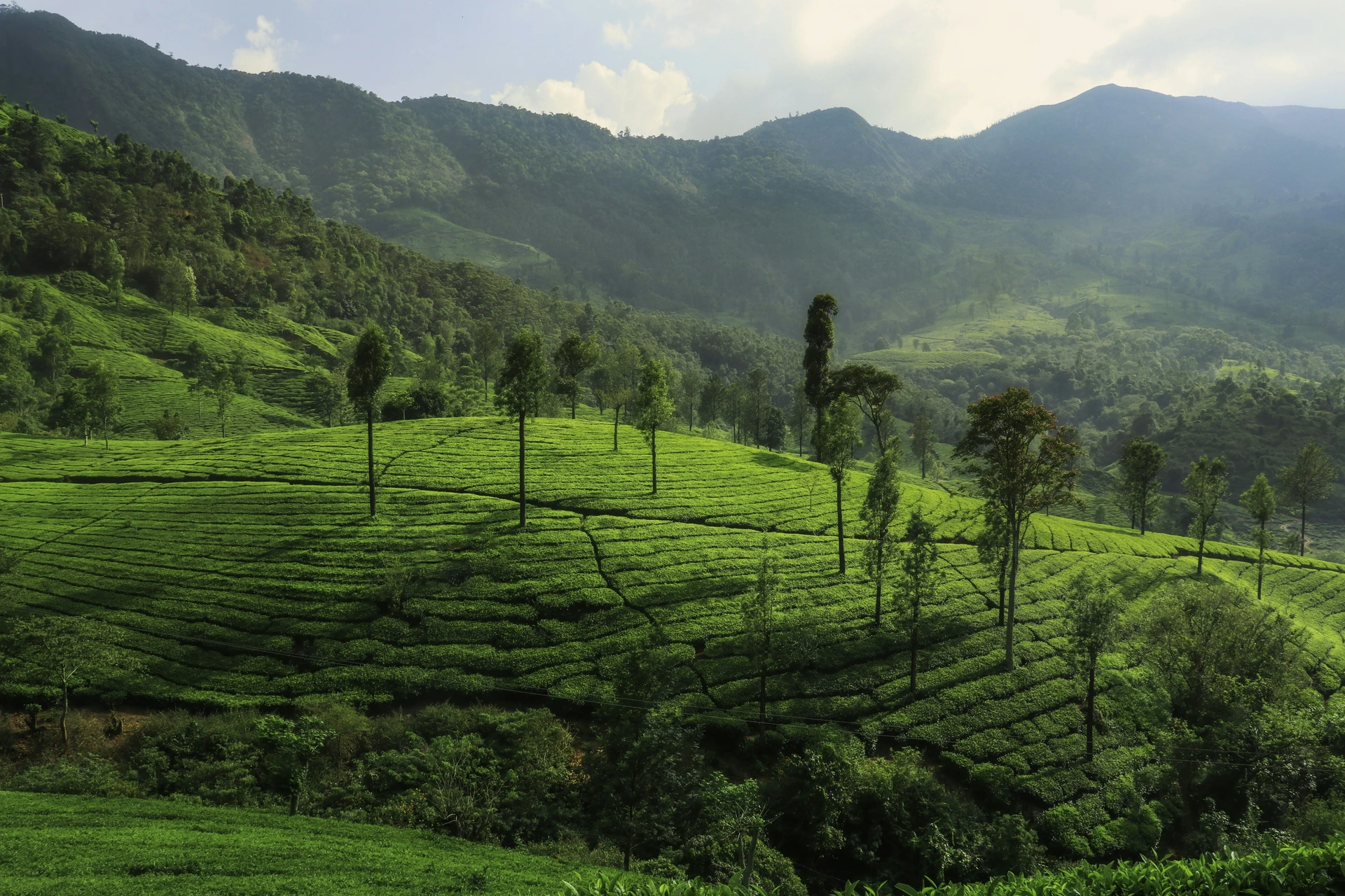 Kerala destination landscape