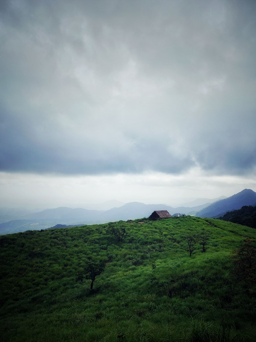 Wayanad